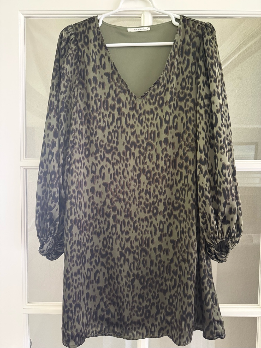 Leopard Print Long-Sleeve Dress in Olive, Black & Brown
